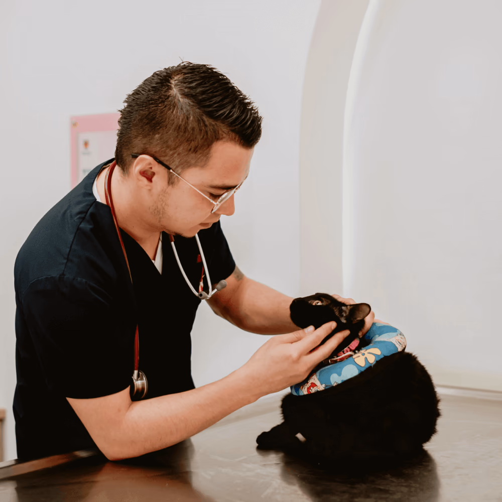 Especialidad de Cardiología en Movet