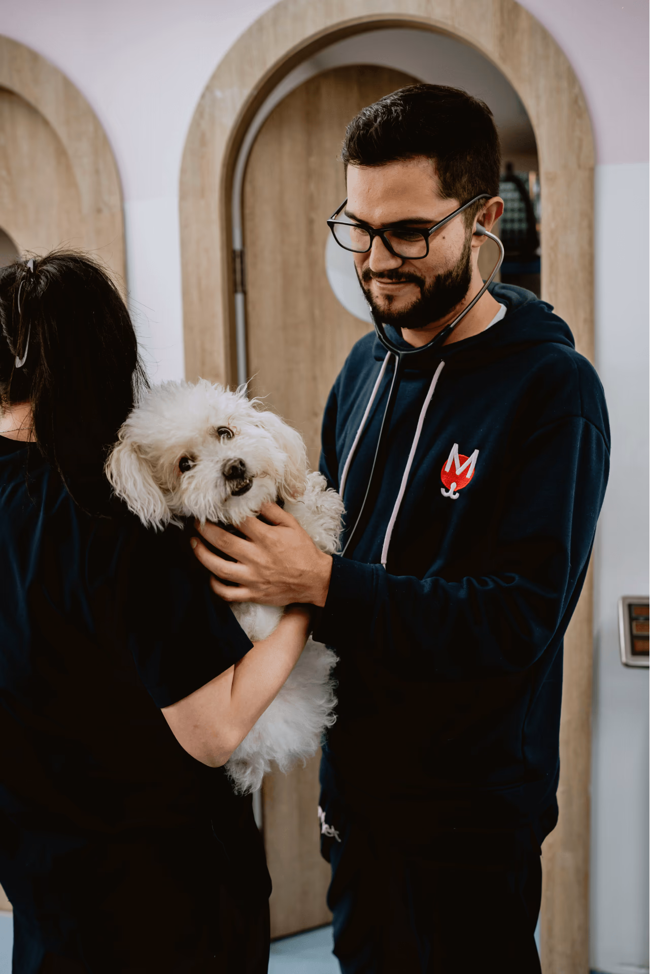 Consulta veterinaria en clínicas Movet de Bogotá